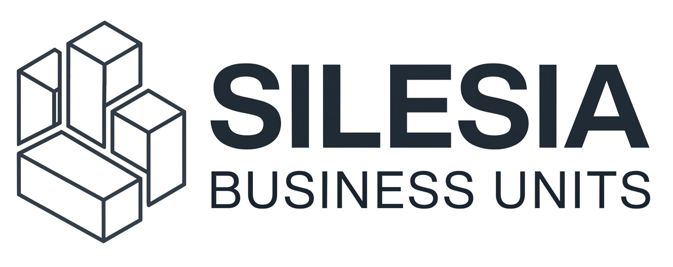 Silesia Business Units
